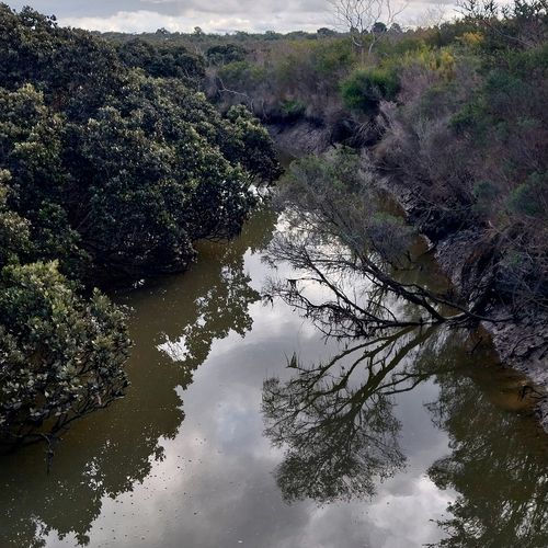 Victorian Wetlands - Tides and Traces