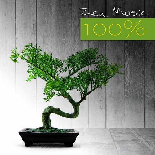 Zen Music 100% – Asian Meditation Music with Nature Sounds, Yoga, Spa, Massage, Reiki, Sleep, Study, Natural White Noise