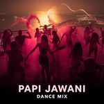 papi jawani dance mix