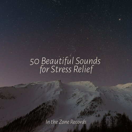 Nature's Symphony cover art