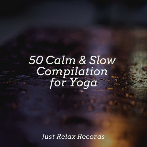 50 Calm & Slow Compilation for Yoga