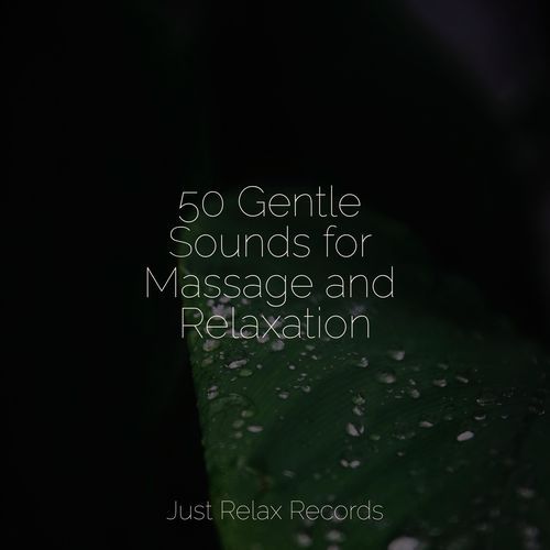 50 Gentle Sounds for Massage and Relaxation