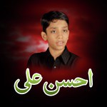 Ahsan Ali Ali Kay Lal Ka Matam, Vol. 2