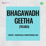 Bhagawadh Geetha (Telugu)
