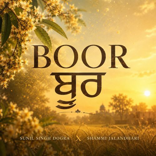 Boor