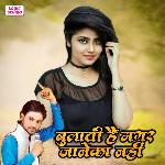 Bulati Hai Magar Janeka Nahi