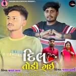 Dil Todi Gai