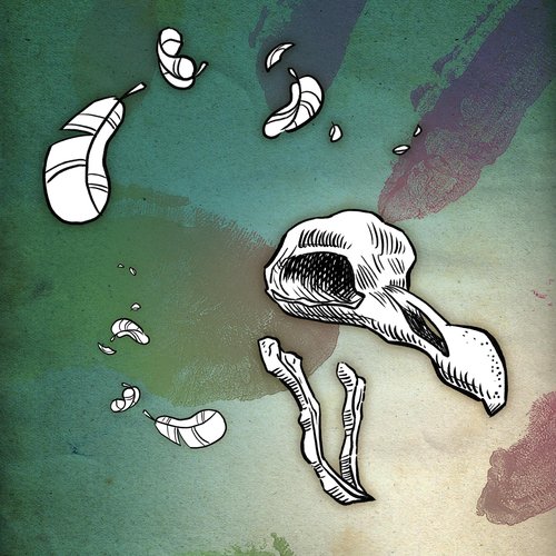 Dodo cover art