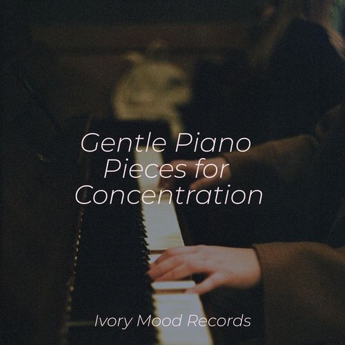 Gentle Piano Pieces for Concentration