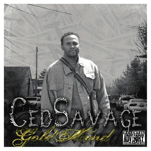 Veteran (feat. Brilliance & THC) cover art