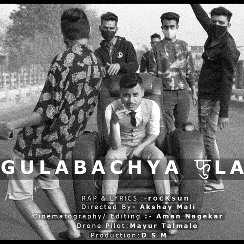 Gulabachya Phula_poster_image