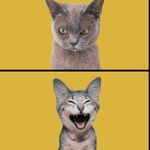 তোমার চোখে আমার স্বপন