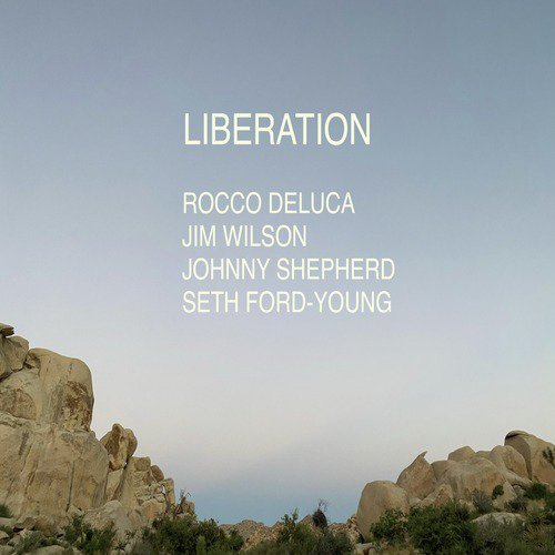 Liberation cover art