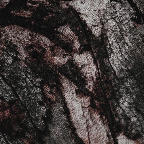 lp.I