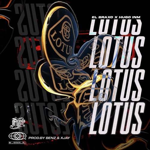 Lotus