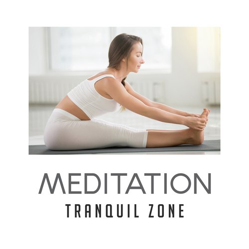 Guru Meditation cover art