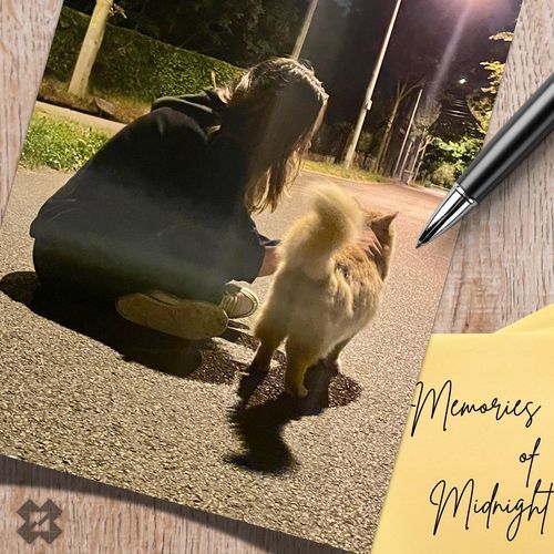 Memories of Midnight