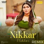 Nikkar Nikkar Remix
