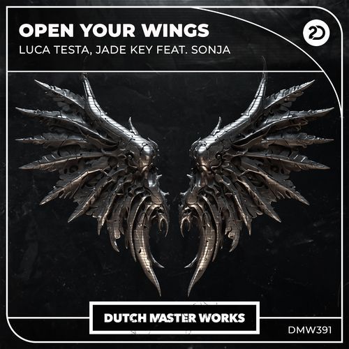 Open Your Wings_poster_image