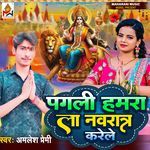 Pagali Hamra La Navratra Karele