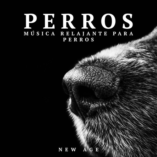 Musica Para Meditacion Profunda cover art