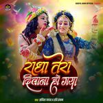 Radha Tera Deewana Ho Gaya artwork
