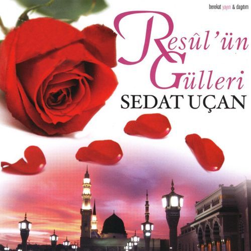 Vaz Gel Gönül cover art