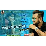Rohru Jana DJ Nonstop Album