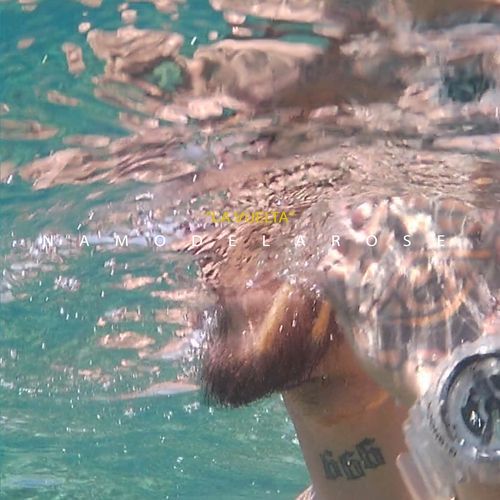 Vida loca cover art