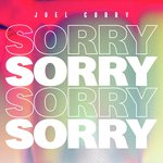 Joel Corry
