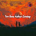 Tere Bina Adhuri Zindagi