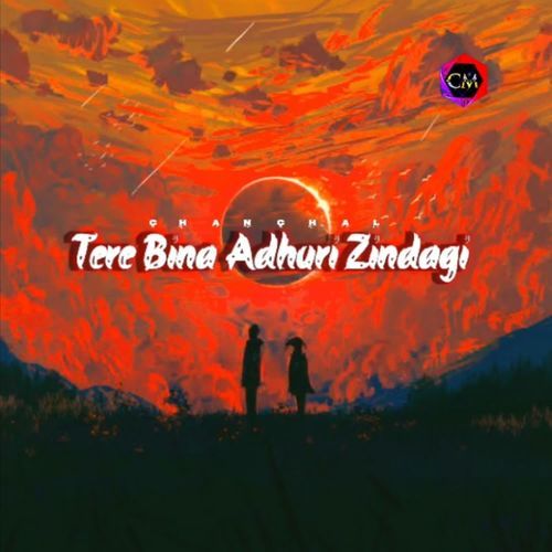 Tere Bina Adhuri Zindagi