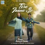 Tere Jaane Se