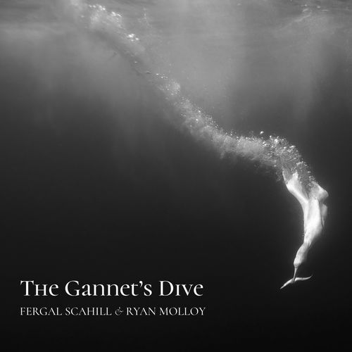 The Gannet's Dive