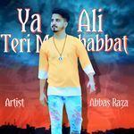 Ya Ali Teri Mohabbat