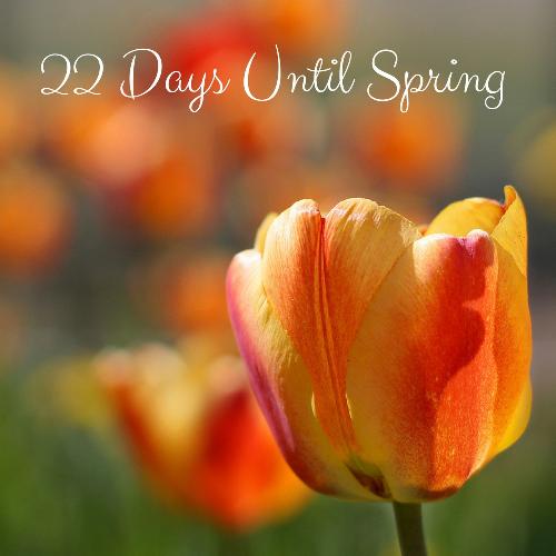 22 Days Until Spring