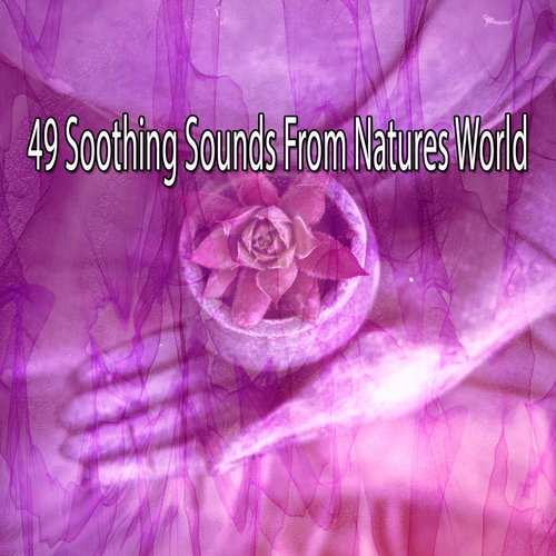 49 Soothing Sounds From Natures World