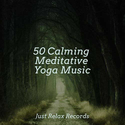 50 Calming Meditative Yoga Music