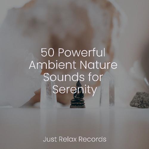 50 Powerful Ambient Nature Sounds for Serenity