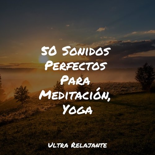 50 Sonidos Perfectos Para Meditación, Yoga