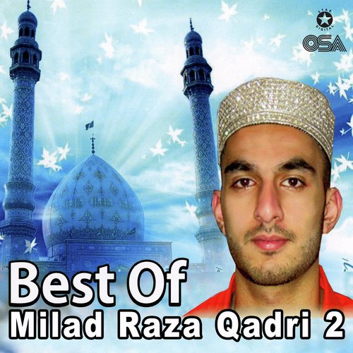 Best of Milad Raza Qadri, Vol. 2