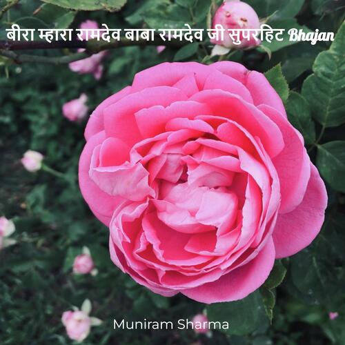 बीरा म्हारा रामदेव बाबा रामदेव जी सुपरहिट Bhajan
