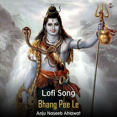 Bhang Pee Le (lofi remix)