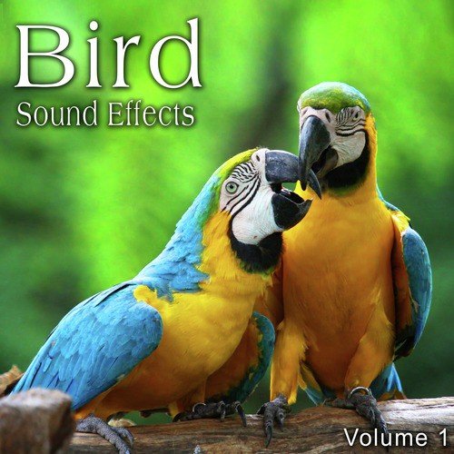 Bird Sound Effects, Vol. 1
