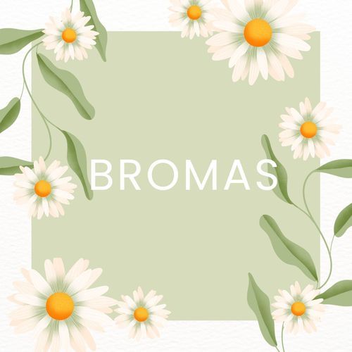 Bromas cover art