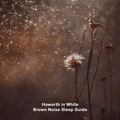 Brown Noise Sleep Guide cover art