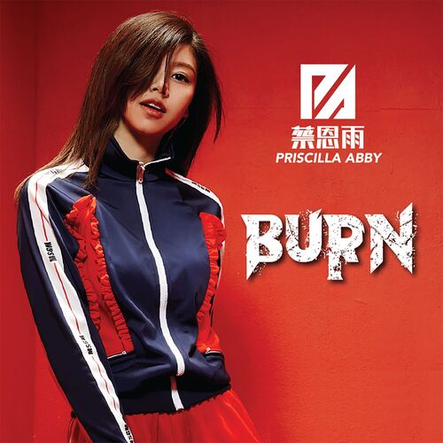 Burn_poster_image