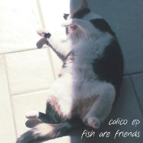 Kitten cover art