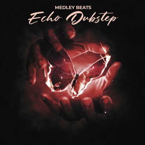 Echo Dubstep-okv tunes