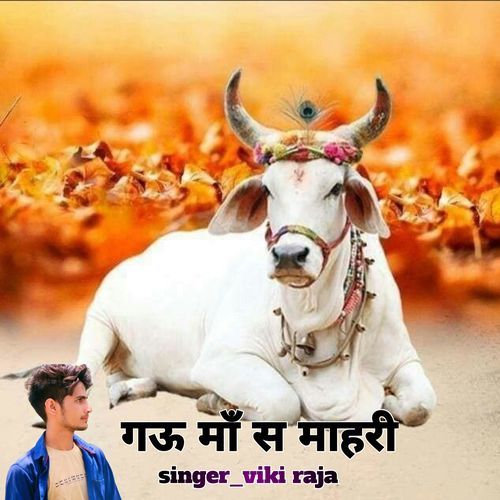 Gau Ma S Mahari